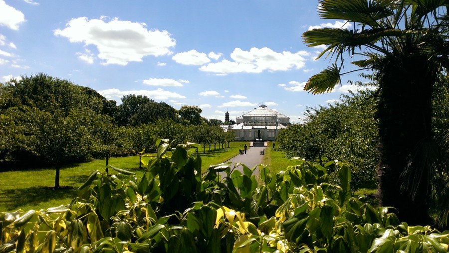 stage aux jardins royaux Kew Gardens situés à Londres une étude énergétique d'un bâtiment semblable à celui photographié