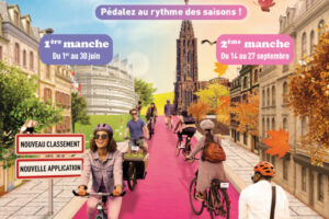 Actualités l'insa de Strasbourg